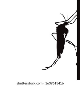 Vector silhouette of mosquito sitting on wall on white background. Symbol of annoying insect.