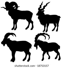 Vector Silhouette Mountain Ram On White Background