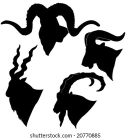 vector silhouette of the mountain ram on white background