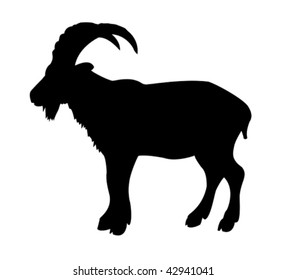 vector silhouette mountain ram on white background