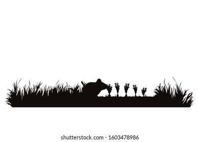 Vector silhouette of mouse eat carrot on garden. Symbol of animal, field, farm, destroy, corp, pest.