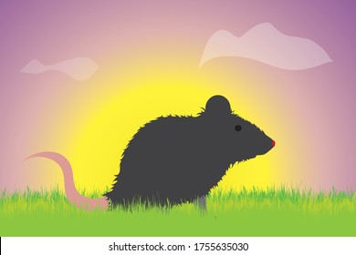 Vector silhouette of mouse in the grass at sunset. Symbol of animal.