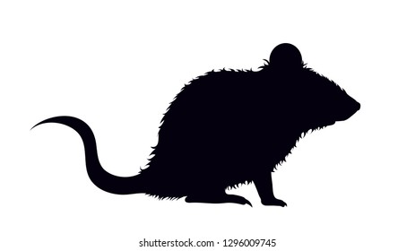 Vector silhouette of mouse on white background.