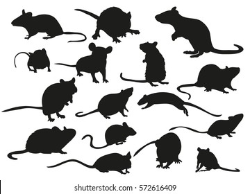 vector silhouette mouse rat isolated set