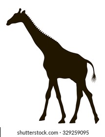 Vector silhouette moving giraffe