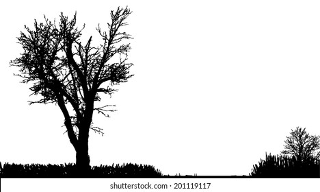 Vector silhouette of nature on a white background.
