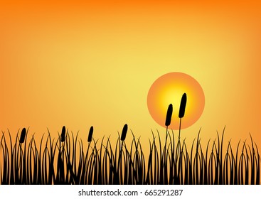 vector silhouette nature with sunset. flowers background 