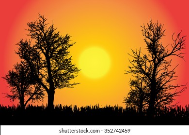 Vector silhouette of nature with trees at sunset.