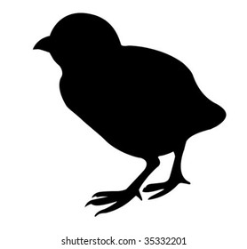 vector silhouette nestling on white background