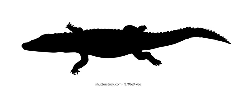 Vector silhouette of Nile Crocodile
