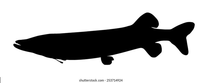 Vector silhouette of Northern Pike.
