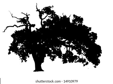 Vector Silhouette Oak Tree