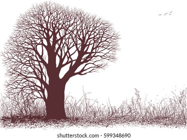 Vector silhouette oak tree in the meadow isolated on white background. The tree silhouette is on separate layer