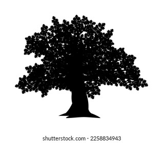 Vector silhouette of oak tree. Nature and ecology. Isolated vector silhouette of oak tree on a white background for social networks, posters, cards.