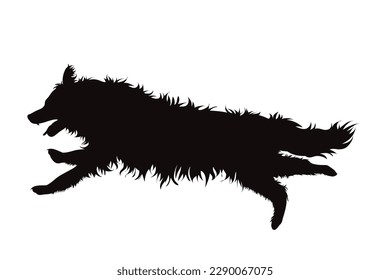 Silueta vectorial od Border Collie sobre fondo blanco. Símbolo de perro y mascota.