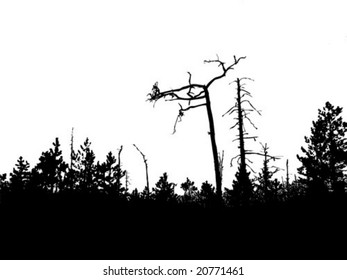 vector silhouette old wood