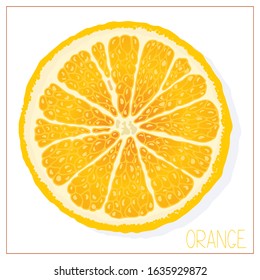 Vector silhouette of an orange slice. Isolated drawing fruit on a white background. Juicy healthy food design element. Vector stock illustration