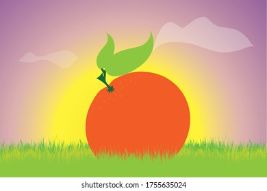 Silueta vectorial de naranja al atardecer en la pradera. Símbolo de la naturaleza.