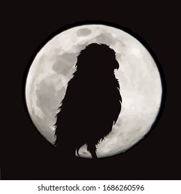 Vector silhouette of owl on moon background. Symbol of night.