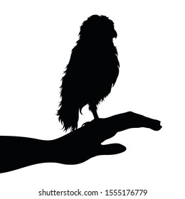 Vector silhouette of owl sitting on hand on white background. Symbol of animal, bird, care, save, forest, wild, vet, veterinary.