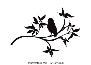 Vector silhouette of owl sitting on branch with leaves on white background. Symbol of nature.