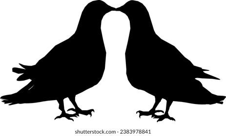 Vector silhouette pair of pigeons - two pigeons