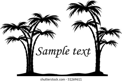 vector silhouette palm tree