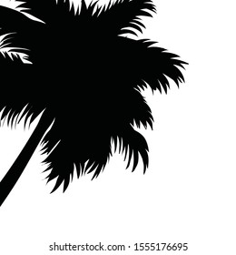 Vector silhouette of palm tree on white background. Symbol of beach, exotic, tropical.