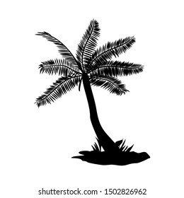 vector silhouette of palm trees, palm with black and white