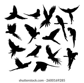 vector silhouette of a parrot bird