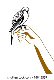 vector silhouette of the parrot on hand