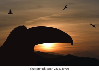 Vector silhouette of parrot on sunset background. Symbol of jungle.