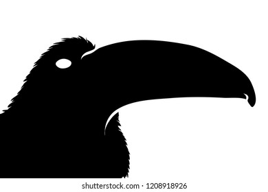 Vector silhouette of parrot on white background.