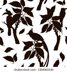 Vector silhouette pattern with rhinoceros hornbill, paradise flycatcher, bee eaters, branches, leaves. 