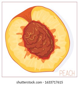 Vector silhouette of a peach slice. Isolated drawing fruit on a white background. Juicy healthy food design element. Vector stock illustration