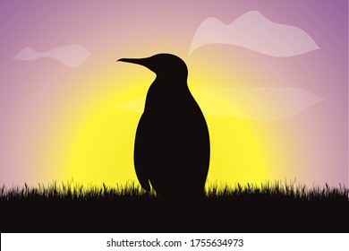 Vector silhouette of penguin in the grass at sunset. Symbol of nature.
