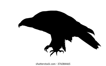 Vector silhouette of perched Golden Eagle.