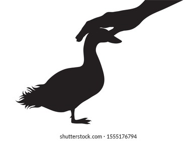 Vector silhouette of person who fondle his goose on white background. Symbol of animal, pet, care, love, save, vet, veterinary, poultry, farm.