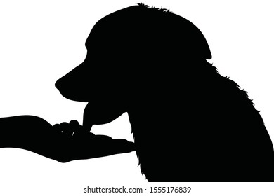 Vector silhouette of person who give food his dog on white background. Symbol of animal, pet, eat, care, save, vet, veterinary.