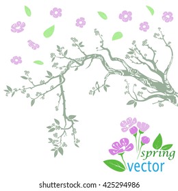 vector silhouette picture blossoming branches and birds
