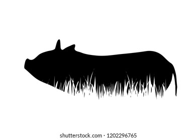 Vector silhouette of pig in the grass on white background.