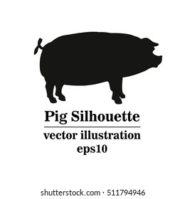 Vector silhouette of pig, hand drawing .