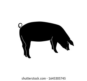 Vector silhouette of pig. Isolated white background. For coloring or packaging design. In linear style.