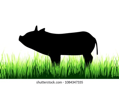 Vector silhouette of pig on a meadow on white background.