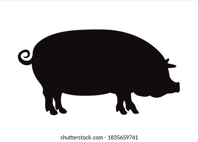 Vector silhouette of pig on white background. Symbol of farm animal.