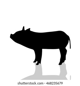 Vector silhouette of pig on white background.