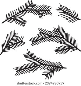 Vector silhouette pine fir branches. Christmas tree branches. EPS10