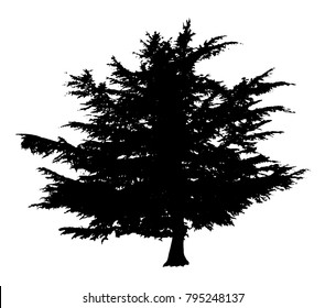 Vector silhouette of pine tree.
