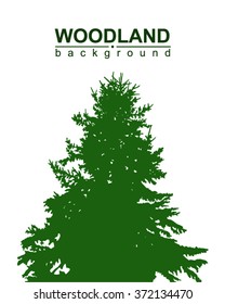 Vector silhouette of pine tree. View from below. Green  tone.