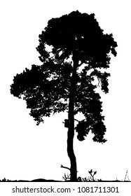 vector silhouette pine tree wooden birdhouse